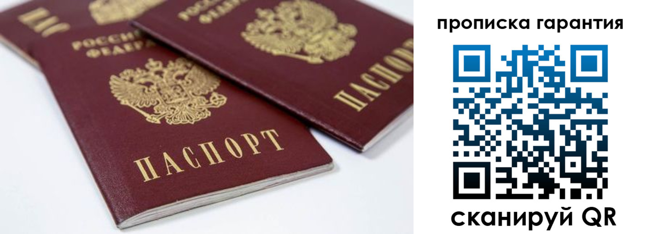 миграционный учет в Ленинградской области